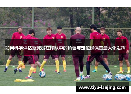 如何科学评估新球员在球队中的角色与定位确保其最大化发挥
