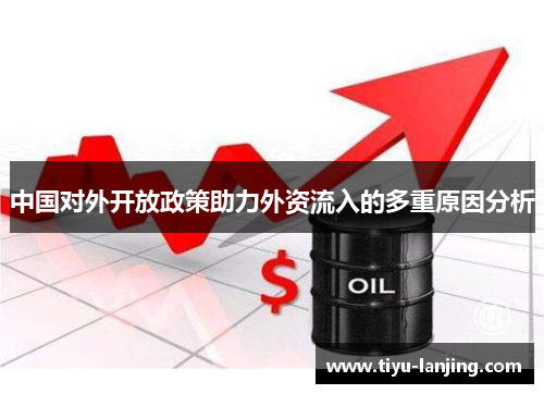中国对外开放政策助力外资流入的多重原因分析