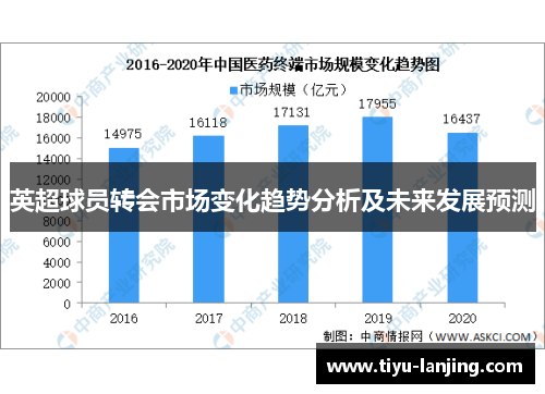 英超球员转会市场变化趋势分析及未来发展预测