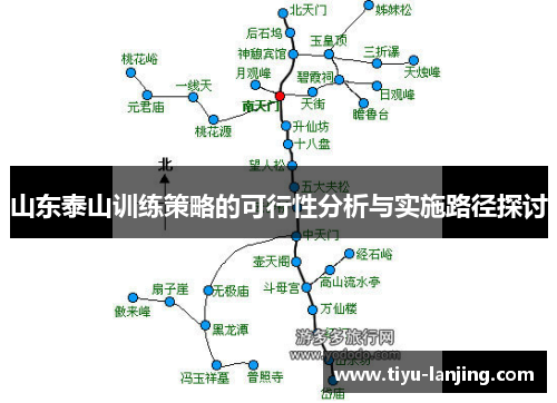 山东泰山训练策略的可行性分析与实施路径探讨