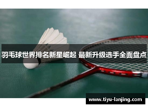 羽毛球世界排名新星崛起 最新升级选手全面盘点