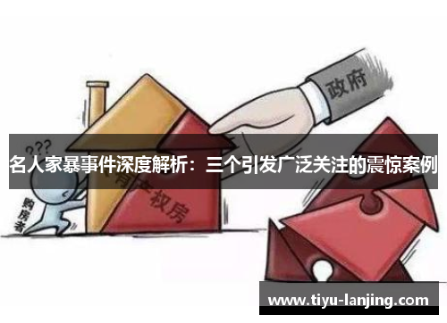 名人家暴事件深度解析：三个引发广泛关注的震惊案例
