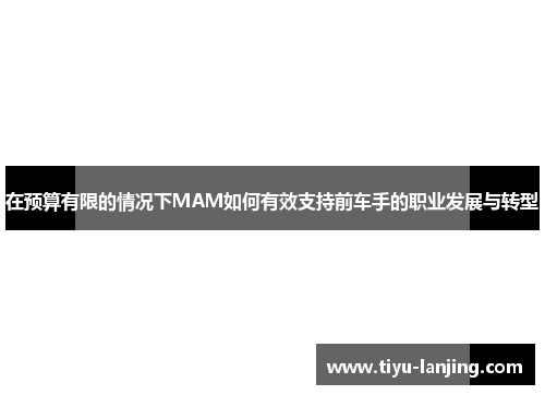 在预算有限的情况下MAM如何有效支持前车手的职业发展与转型