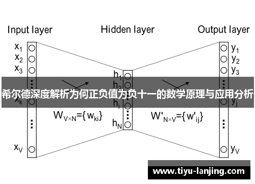希尔德深度解析为何正负值为负十一的数学原理与应用分析