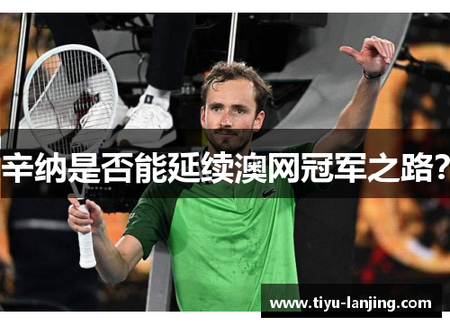 辛纳是否能延续澳网冠军之路？