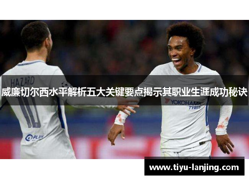 威廉切尔西水平解析五大关键要点揭示其职业生涯成功秘诀