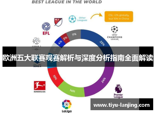 欧洲五大联赛观赛解析与深度分析指南全面解读